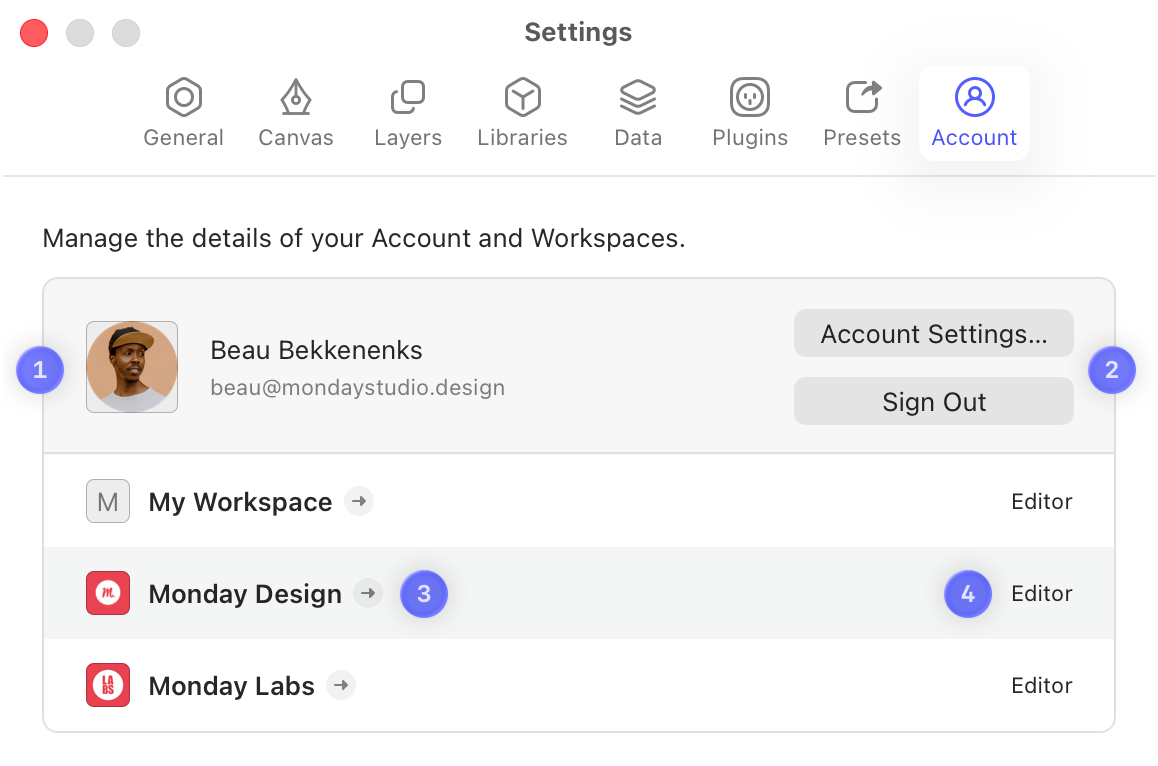 An annotated image showing the Account tab in Settings.