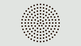 Image of Dieter Rams Color Palette